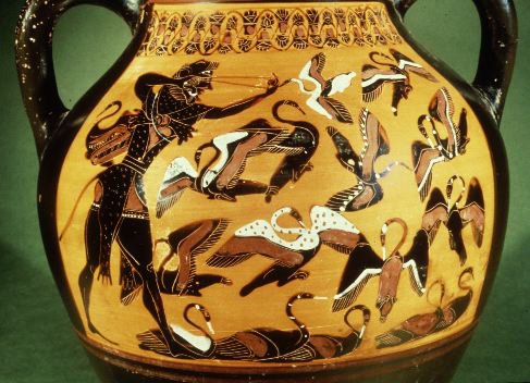 Hercules birds